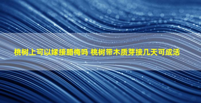 桃树上可以嫁接腊梅吗 桃树带木质芽接几天可成活